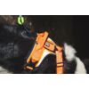 Kép 2/5 - HURTTA WEEKEND WARRIOR  kutyahám - neon narancs 45-60 cm