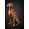Kép 3/5 - HURTTA WEEKEND WARRIOR  kutyahám - neon narancs 45-60 cm