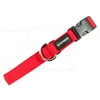 Kép 2/2 - Mystique® Nylon nyakörv 25mm piros 40-50cm