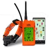 Kép 1/12 - DOG GPS X30TB nyakörv szett kiképző funkcióval és Beeperrel-Dogtrace