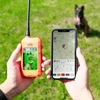Kép 7/12 - DOG GPS X30TB nyakörv szett kiképző funkcióval és Beeperrel-Dogtrace