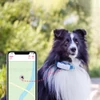 Kép 5/12 - Tractive GPS nyomkövető kutyáknak