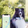 Kép 4/11 - Tractive GPS nyomkövető kutyáknak Midnight Blue
