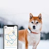 Kép 6/12 - Tractive GPS nyomkövető kutyáknak