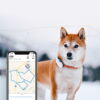 Kép 6/12 - Tractive GPS nyomkövető kutyáknak