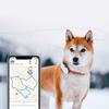 Kép 5/11 - Tractive GPS nyomkövető kutyáknak Midnight Blue
