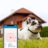 Kép 7/12 - Tractive GPS nyomkövető kutyáknak