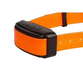 D Control Professional pótnyakörv