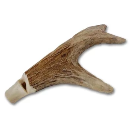 Egytónúsú kutyasíp V24