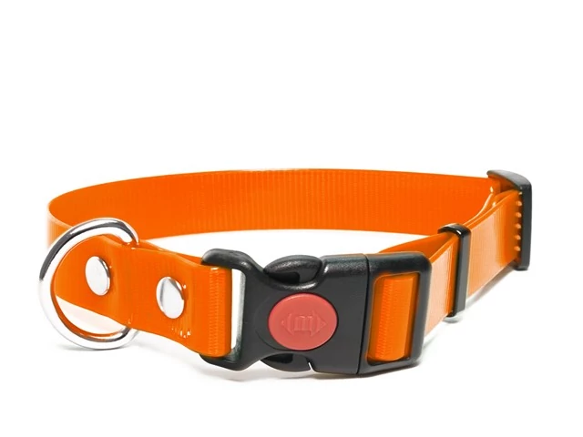 Mystique® Biothane safety click collar 25mm 40-50cm narancs gold